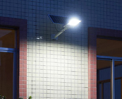 LED Street Light With Lifepo4 Battery 50000hrs Life SpanInput Voltage AC 110V ( ± 10%)